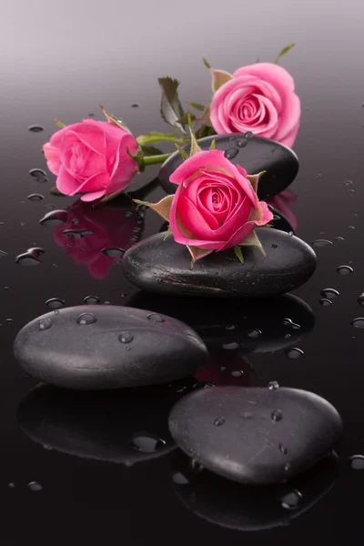 Spa sten och rosa blommor stilleben. hälso-och koncept. — Stockfoto