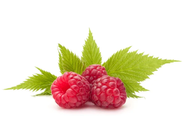 Sweet raspberry isolated on white background cutout — Stock Photo, Image