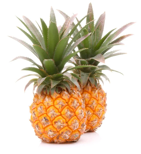 Pineapple tropical fruit or ananas — Stock Photo, Image