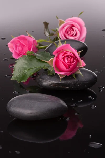 Курортный камень и розовые цветы натюрморт — стоковое фото