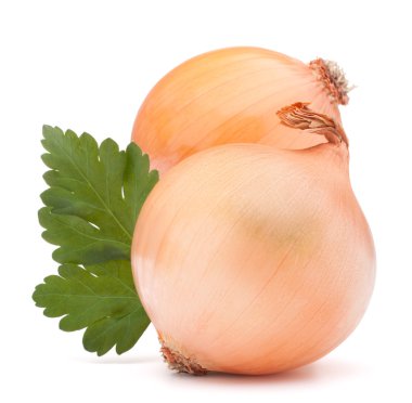 soğan sebze ampul ve maydanoz yaprakları natürmort 