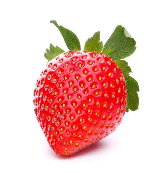 Fragola — Foto Stock