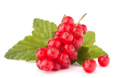 Kırmızı kuş üzümü ve yeşil yaprak