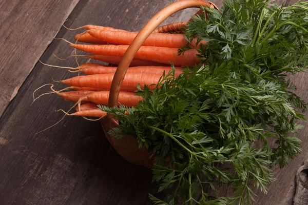 Frische Möhren im Weidenkorb — Stockfoto