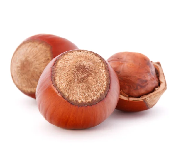 Hazelnuts or filbert nut — Stock Photo, Image