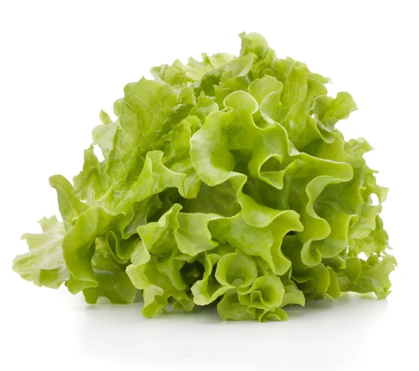 Sallad sallad lämnar gäng — Stockfoto