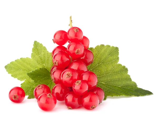 Currants red — Zdjęcie stockowe