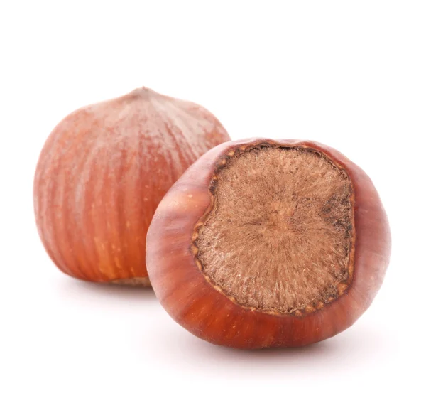 Hazelnuts or filbert nuts — Stock Photo, Image