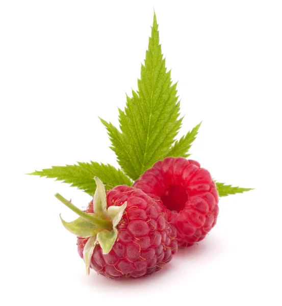 Süße Himbeeren — Stockfoto