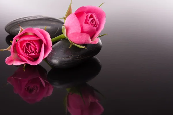 Pedras de spa e flores rosa — Fotografia de Stock