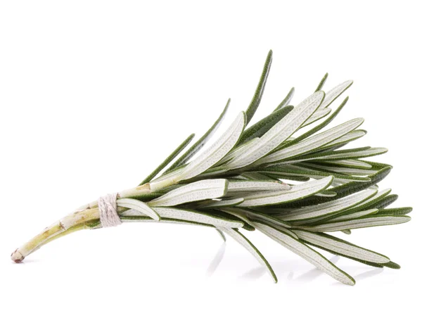 Rosemary herb spice leaves — Stock Photo, Image