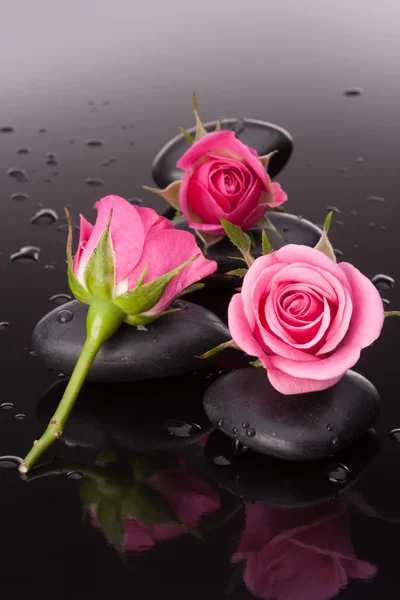 Spa stenen en roze bloemen stilleven. gezondheidszorg concept. — Stockfoto