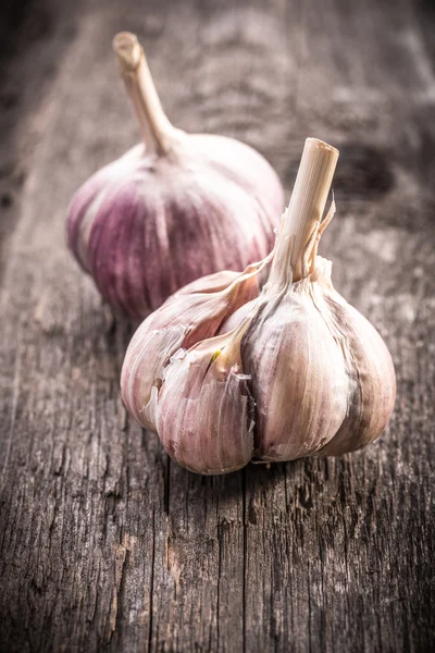 Lampadina di aglio — Foto Stock