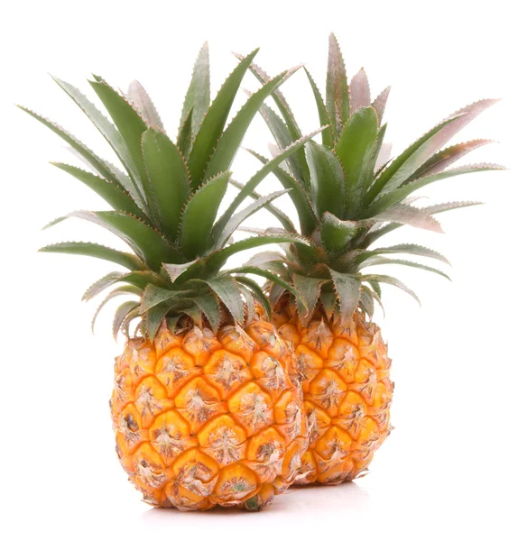 Pineapple tropical fruit or ananas — Stock Photo, Image