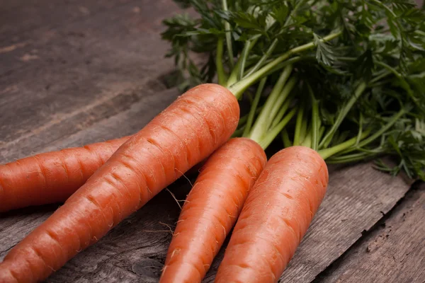 Ramo de zanahoria fresca — Foto de Stock