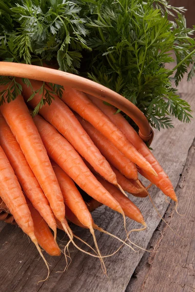 Fresh carrot bunch — Stock Photo, Image
