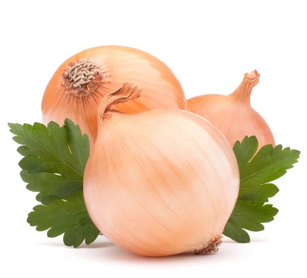 Onion bulb and parsley leaves — Stock Photo, Image