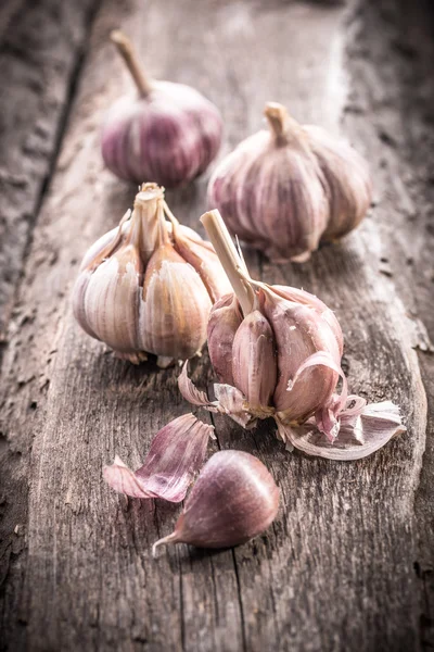 Knoblauchknolle — Stockfoto