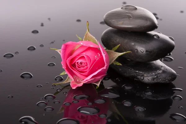 Pedra de spa e flores rosa — Fotografia de Stock
