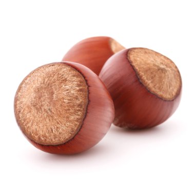 fındık veya fındık ceviz