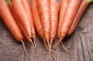 taze havuç demet