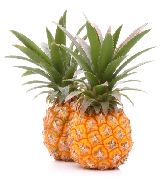 Pineapple  fruits — Stock Photo, Image