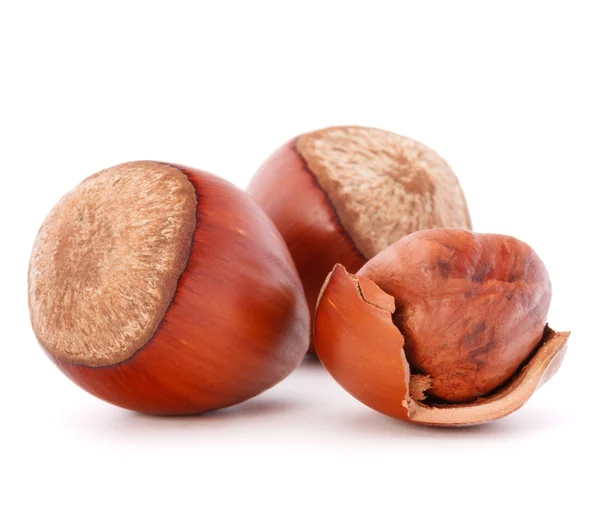 Hazelnuts or filbert nuts — Stock Photo, Image