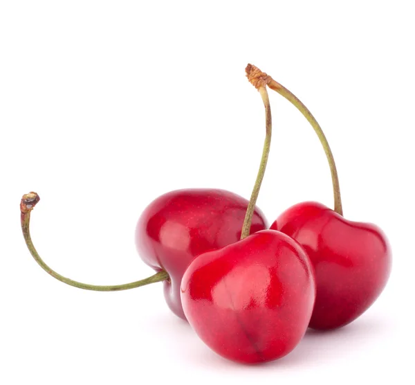체리 열매 — 스톡 사진