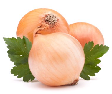 ampuller soğan ve maydanoz yaprakları