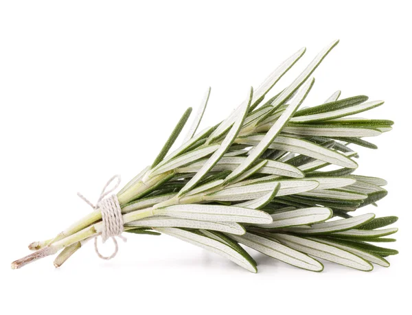 Rosemary herb spice leaves — Stock Photo, Image