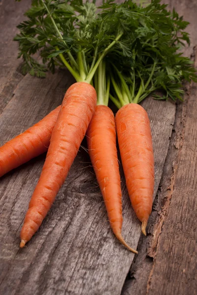 Fresh carrot bunch — Stock Photo, Image