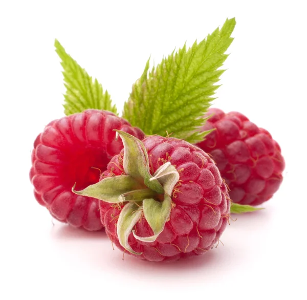 Süße Himbeeren — Stockfoto