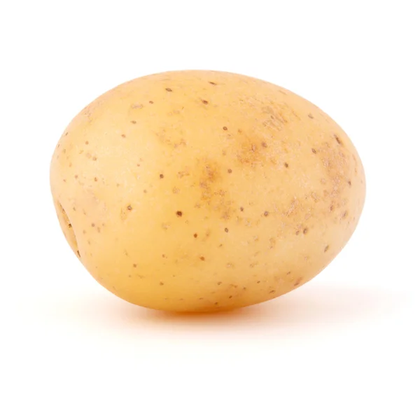 Nuevo tubérculo de patata — Foto de Stock