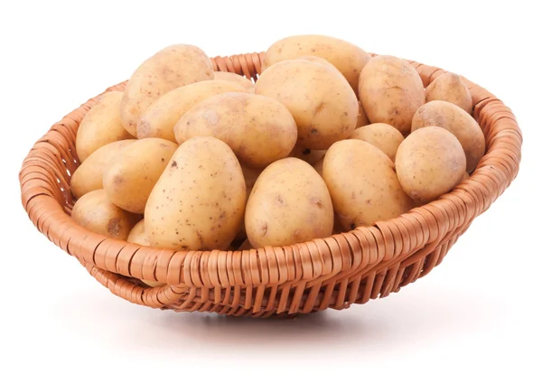 Potatis knöl i rotting korg — Stockfoto