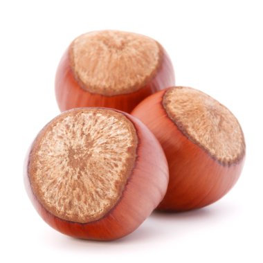 fındık veya fındık ceviz