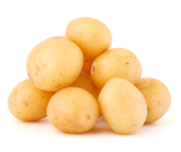 Nové hlízy bramboru — Stock fotografie