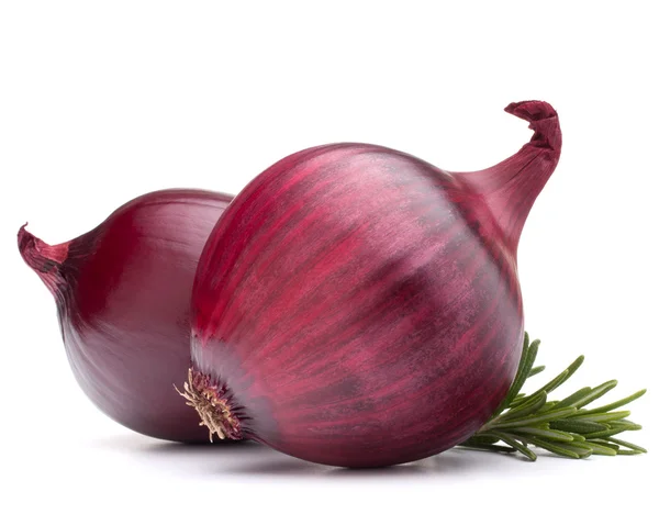 Red onion and rosemary leaves — Stock Photo, Image