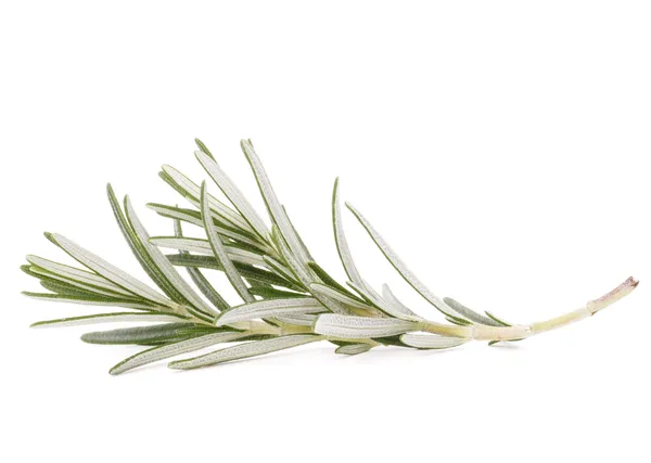 Rosemary herb spice leaves — Stock Photo, Image