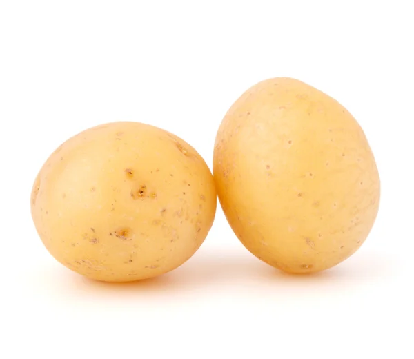 Tubero di patata nuovo — Foto Stock