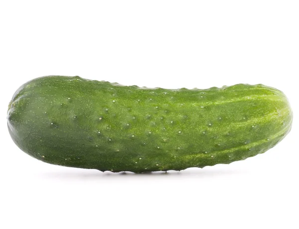 Cucumber vegetable — Stock Photo, Image