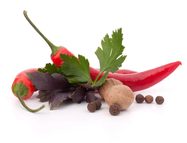 Pimienta roja picante y hierbas aromáticas —  Fotos de Stock