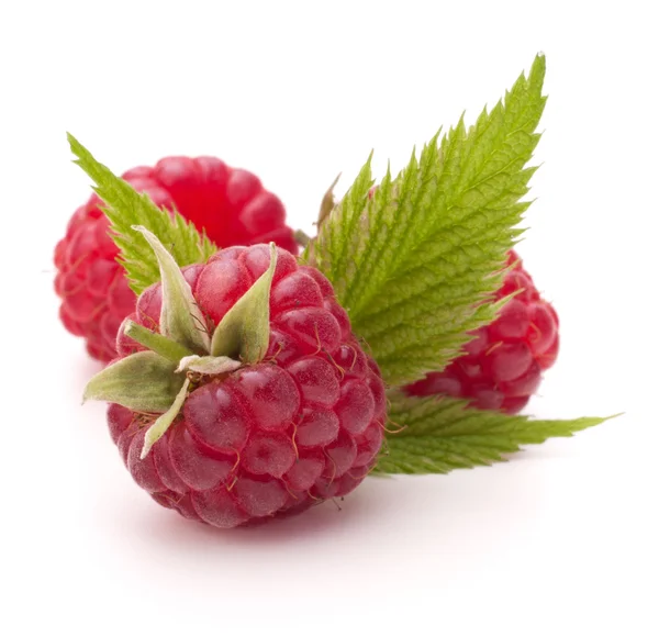 Süße Himbeeren — Stockfoto