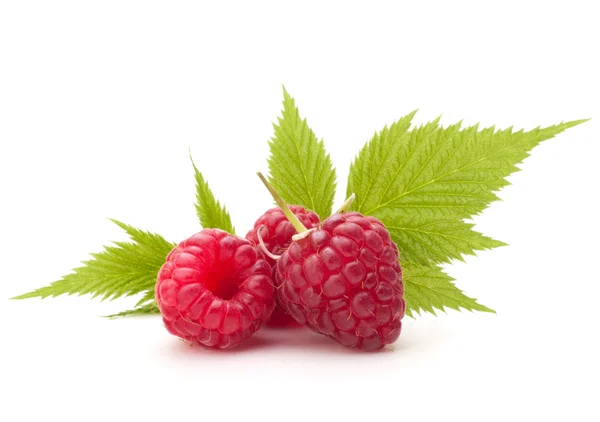 Süße Himbeeren — Stockfoto