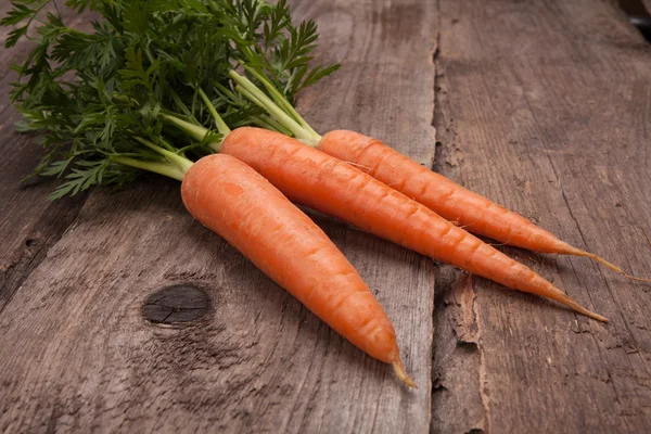 Frische Möhrenbüschel — Stockfoto