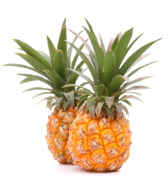 Pineapple tropical fruit or ananas — Stock Photo, Image