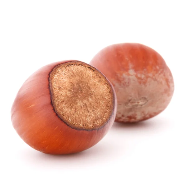 Hasselnötter eller FILBERTNÖT nötter — Stockfoto