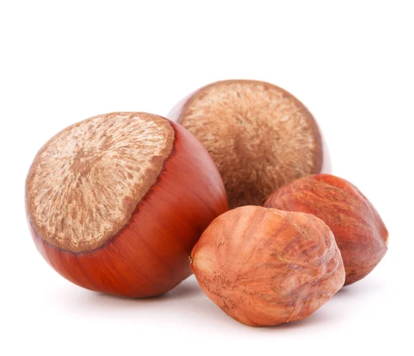 Hazelnuts or filbert nuts — Stock Photo, Image