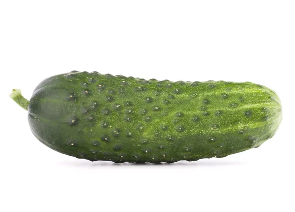 Cucumber vegetable Royalty Free Stock Photos