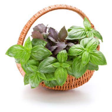 Fesleğen bitki yaprakları grup beyaz arka plan kesme izole hasır sepet içinde