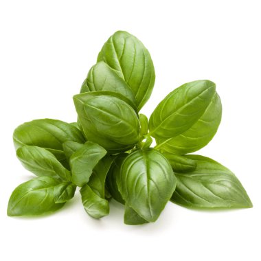 Beyaz arka plan üzerinde izole demet fesleğen bitki yaprakları